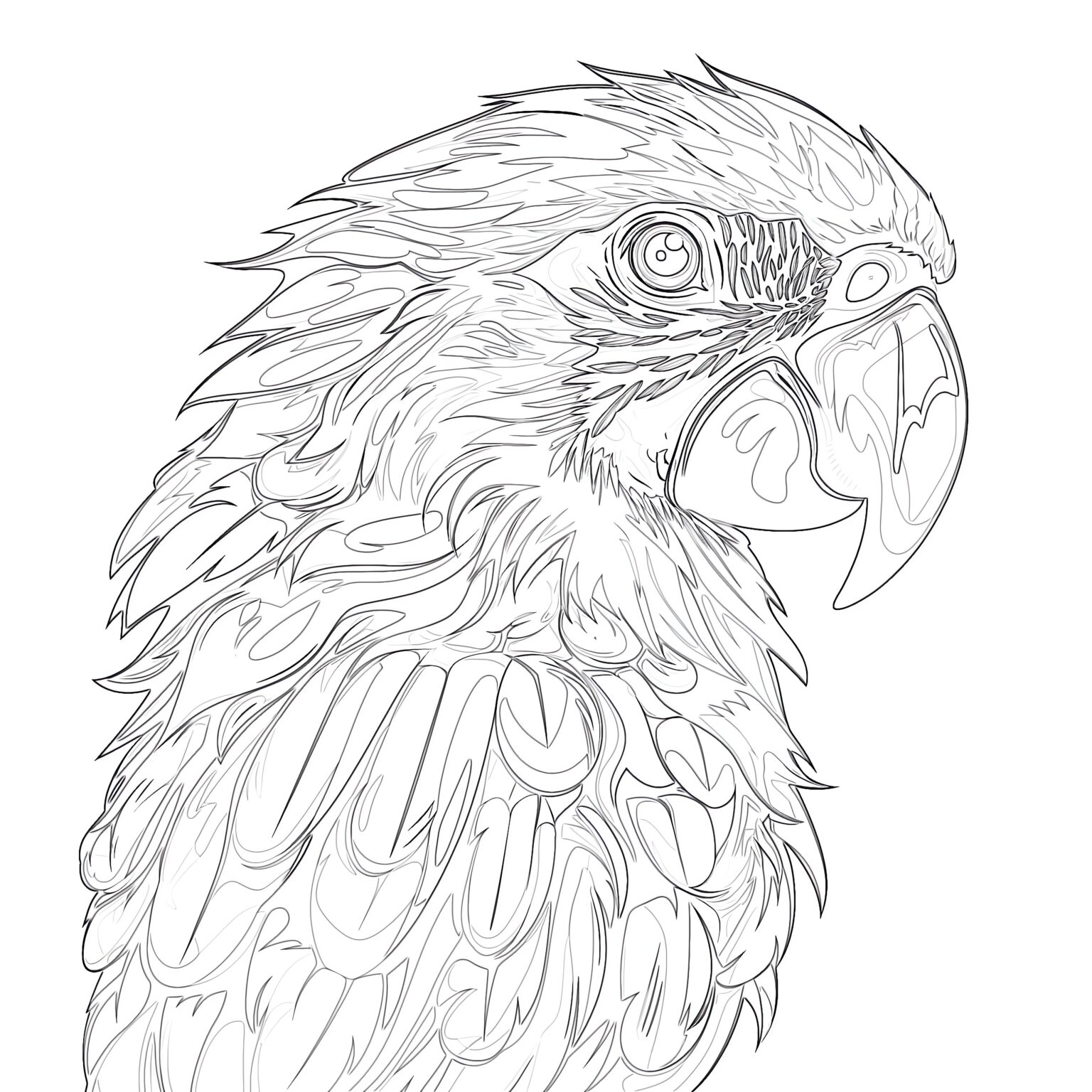 Funny Red Parrot Coloring Page | Coloring Pages Mimi Panda