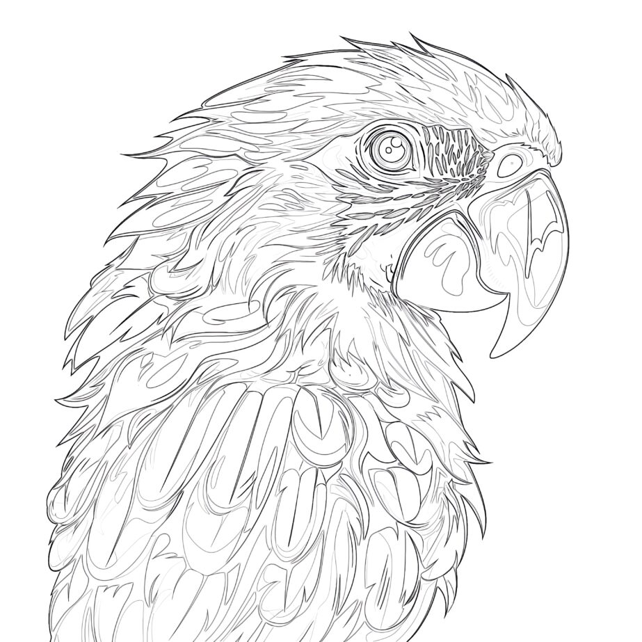 Coloring Page Of a Parrot