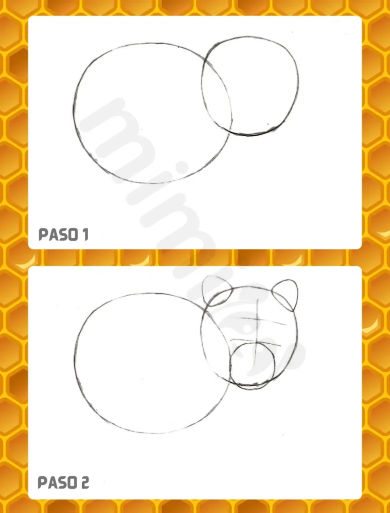Cómo Dibujar un Oso Paso 1 2