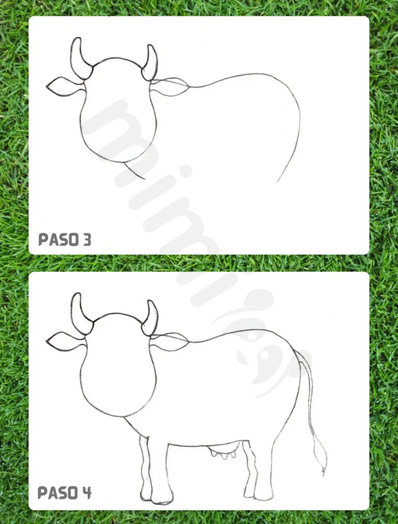 Cómo Dibujar una Vaca Paso 3 4