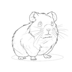Hamster Coloring Page - Printable Coloring page