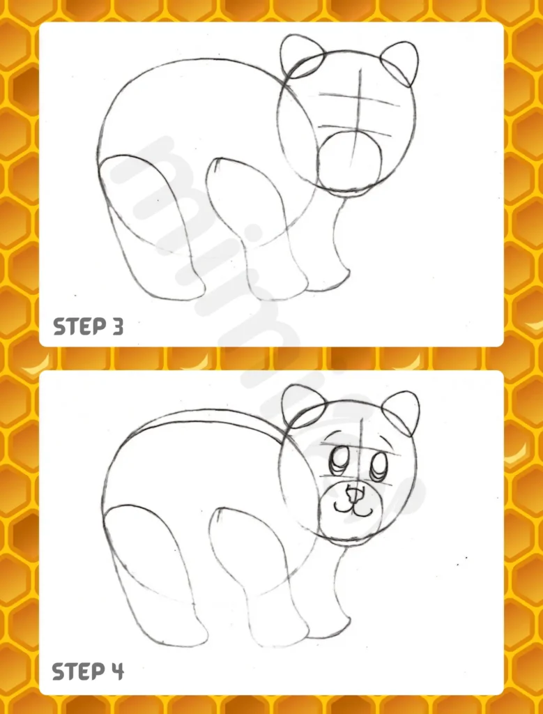 How to Draw a Bear Step 3 4