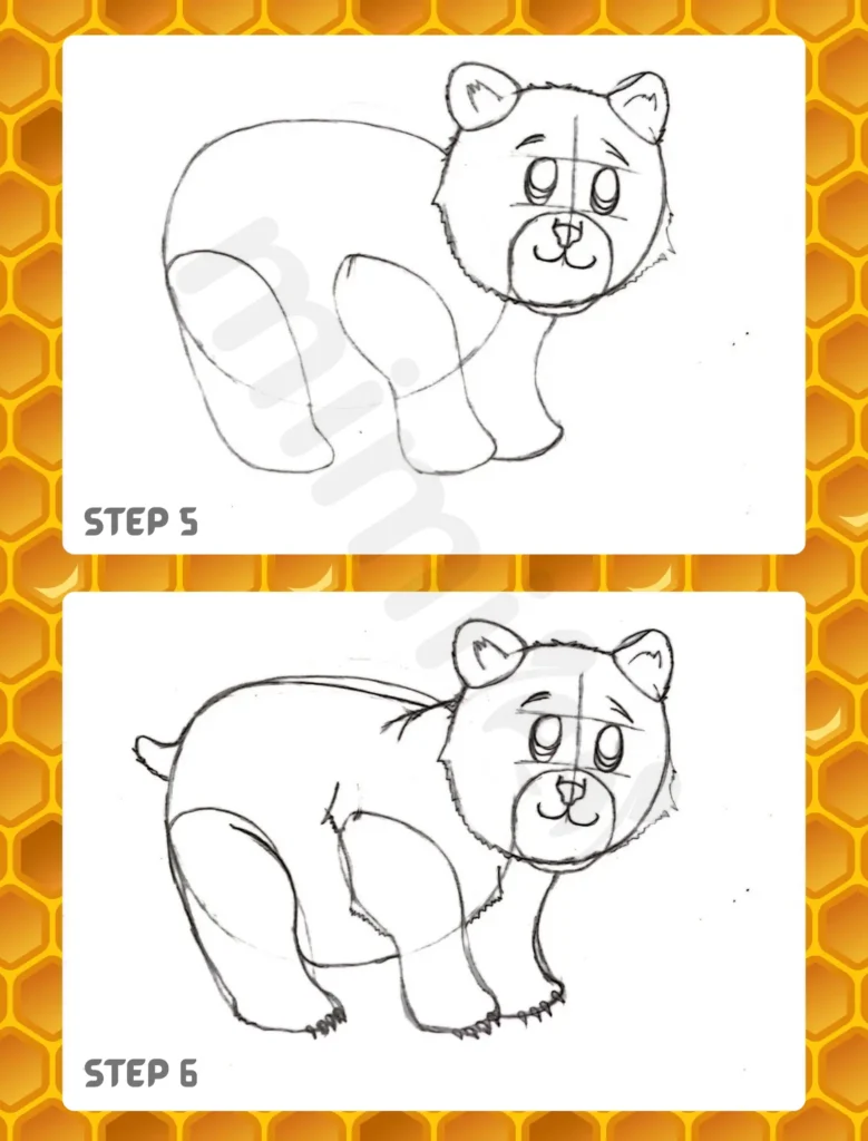 How to Draw a Bear Step 5 6
