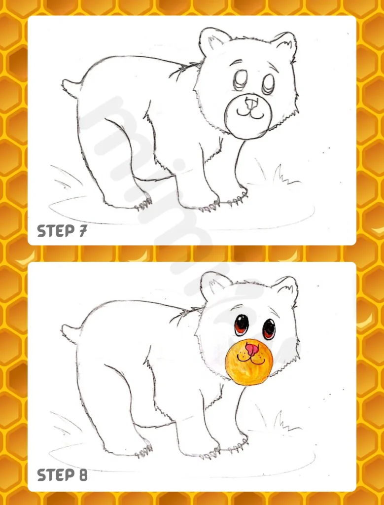 How to Draw a Bear Step 7 8
