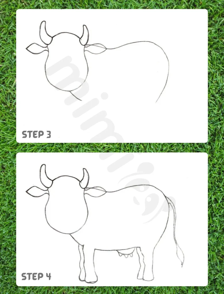 How to Draw a Cow Step 3 4
