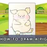 How to Draw a Pig