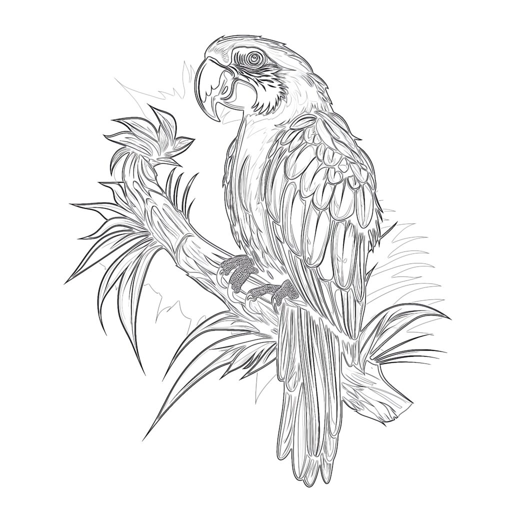 Parrot Bird Coloring Pages | Coloring Pages Mimi Panda