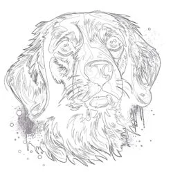 Adult Coloring Page Dog - Printable Coloring page