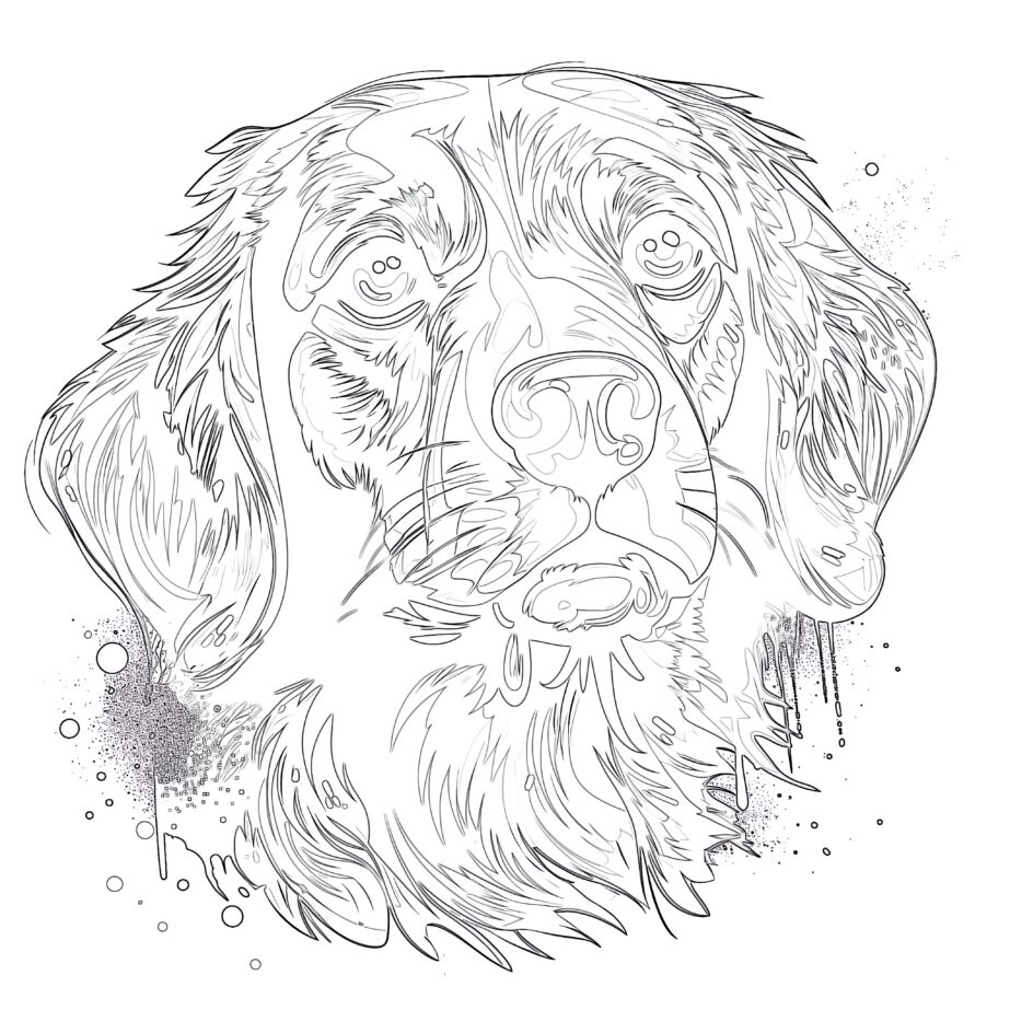 Adult Coloring Page Dog