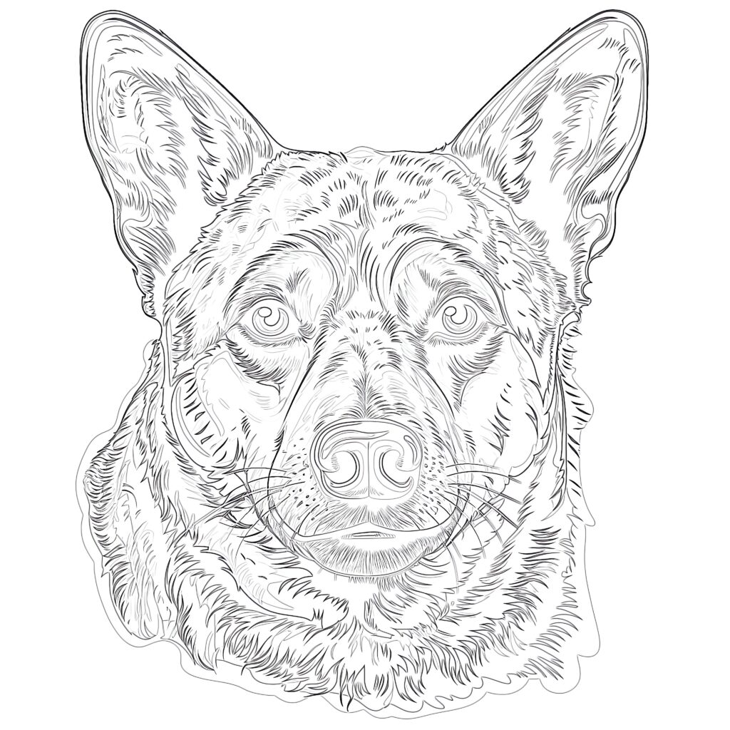 Australian Cattle Dog Coloring Pages Coloring Pages Mimi Panda