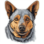 Australian Cattle Dog Coloring Pages 2