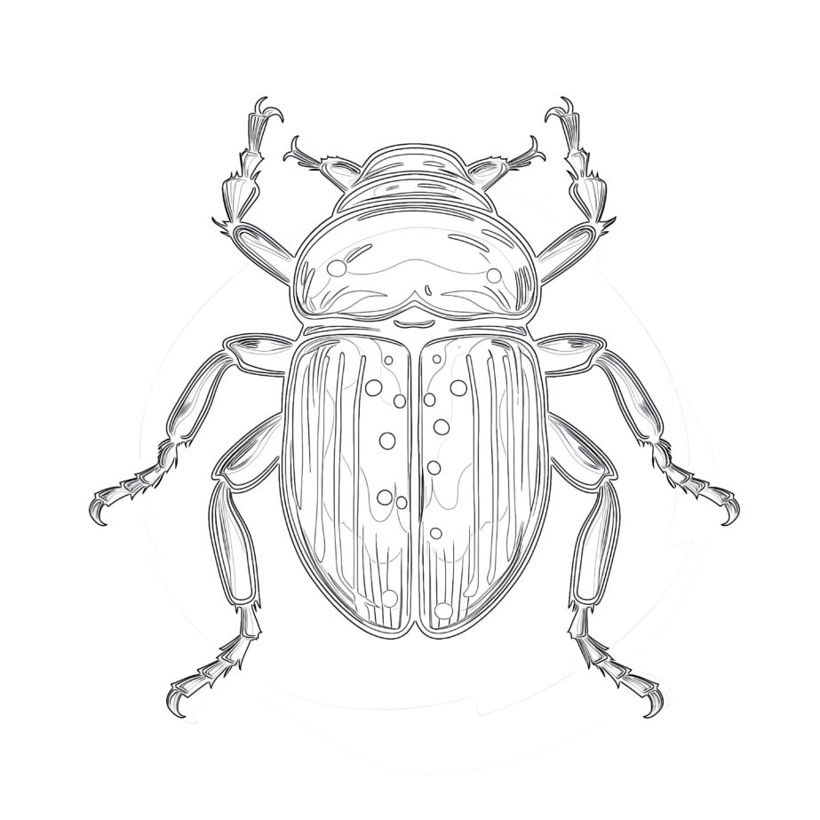 Beetle Coloring Page