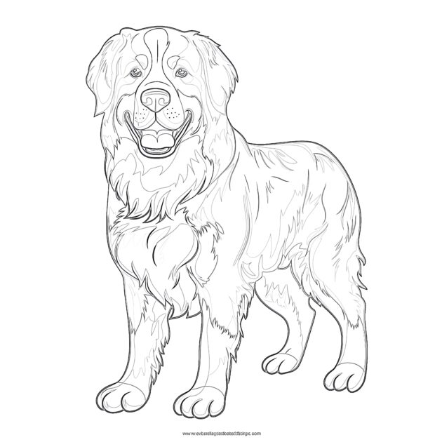Bernese Mountain Dog Coloring Page | Coloring Pages Mimi Panda