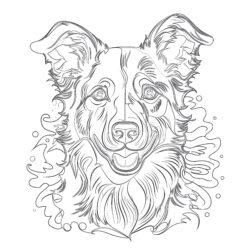 Border Collie Coloring Pages To Print - Printable Coloring page