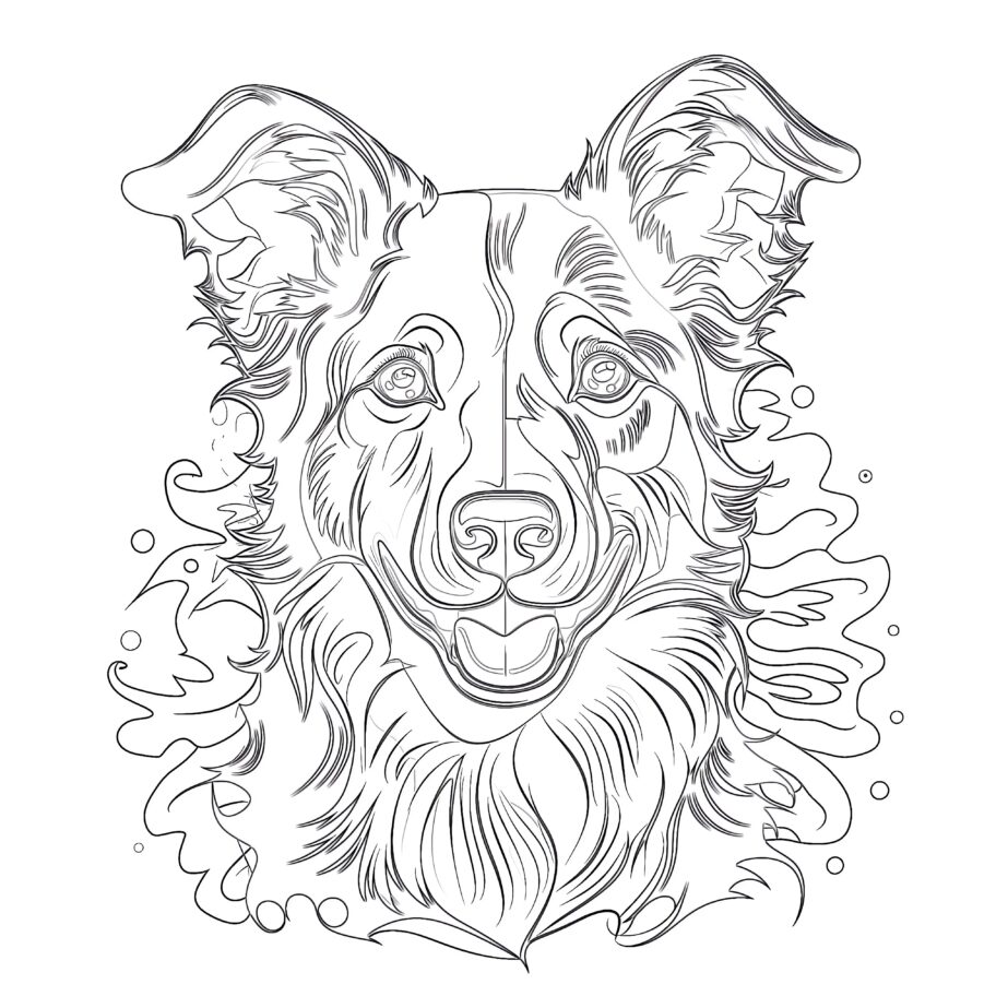 Border Collie Coloring Pages To Print