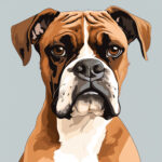 Dibujos Para Colorear de Boxer Para Imprimir 2