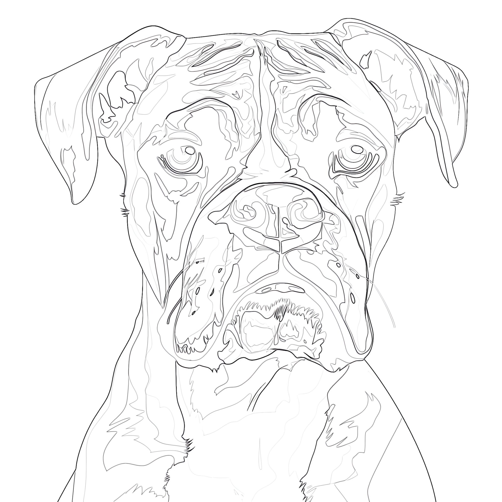 Boxer Coloring Pages To Print | Coloring Pages Mimi Panda