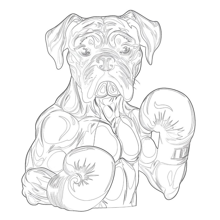 Boxer Hund Färbung Seite