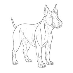Bull Terrier-Malvorlagen - Druckbare Ausmalbilder
