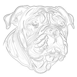 Page à Colorier Bulldog - Page de coloriage imprimable