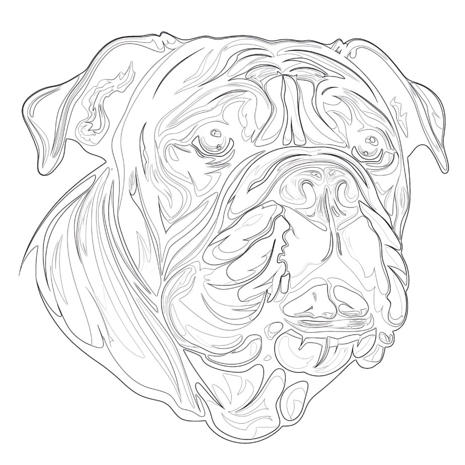 Bulldog Coloring Page