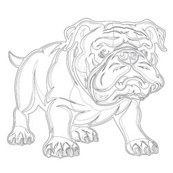 Páginas Para Colorear de Bulldog Para Imprimir - Página para colorear