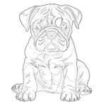 Páginas Para Colorear de Cachorros de Bulldog