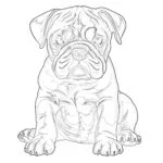 Páginas Para Colorear de Cachorros de Bulldog