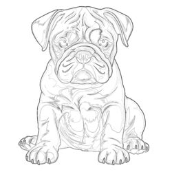 Páginas Para Colorear de Cachorros de Bulldog - Página para colorear
