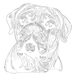 Bullmastiff Coloring Pages - Printable Coloring page