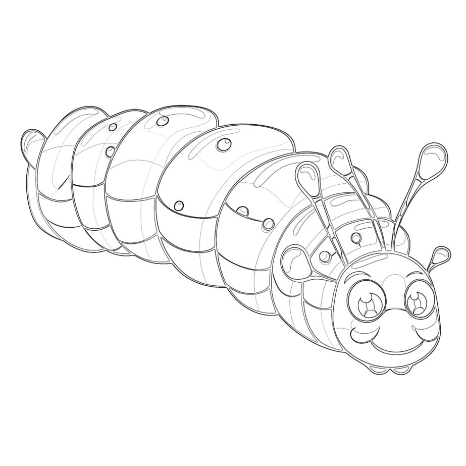 Butterfly Caterpillar Coloring Pages