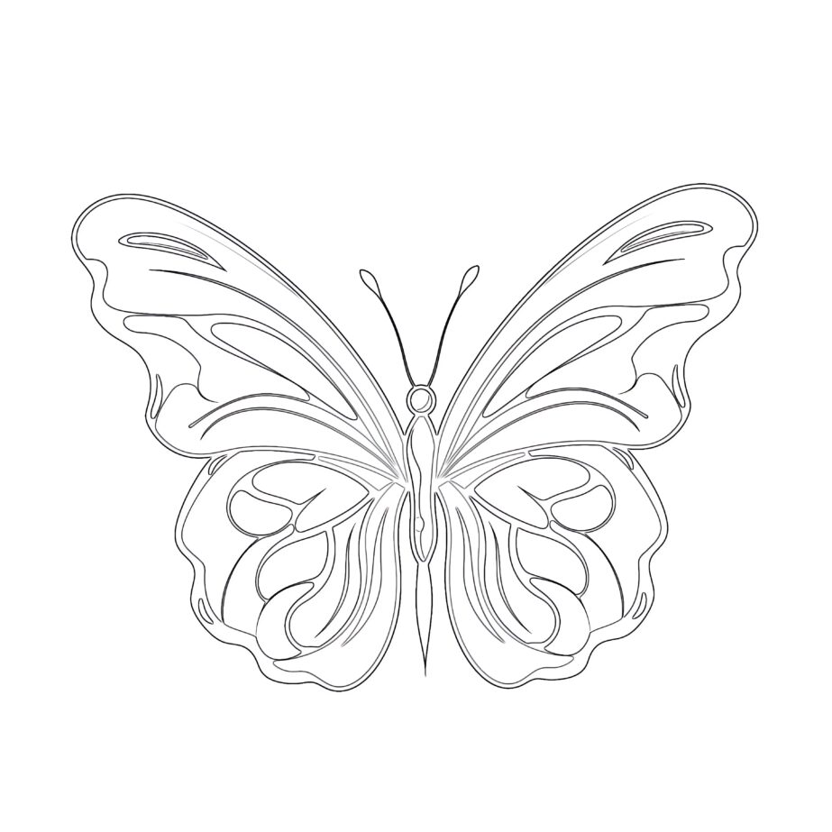 Butterfly Coloring Page Simple