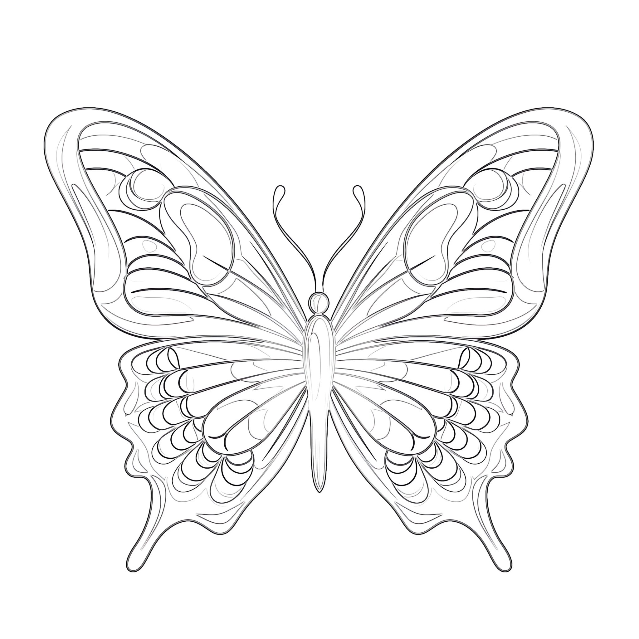Butterfly coloring pages coloring pages mimi panda