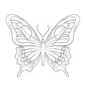 Butterfly Coloring Pages | Coloring Pages Mimi Panda