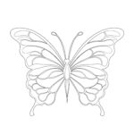 Butterfly Coloring Pages For Preschool