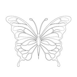 Butterfly Coloring Pages For Preschool - Printable Coloring page