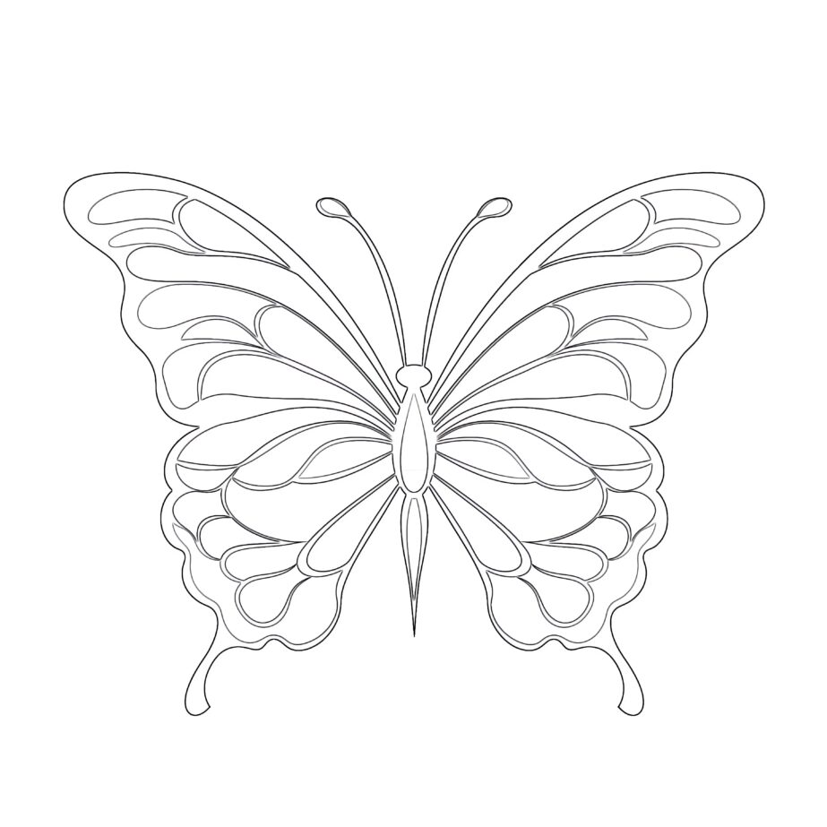 Butterfly Coloring Pages For Preschool