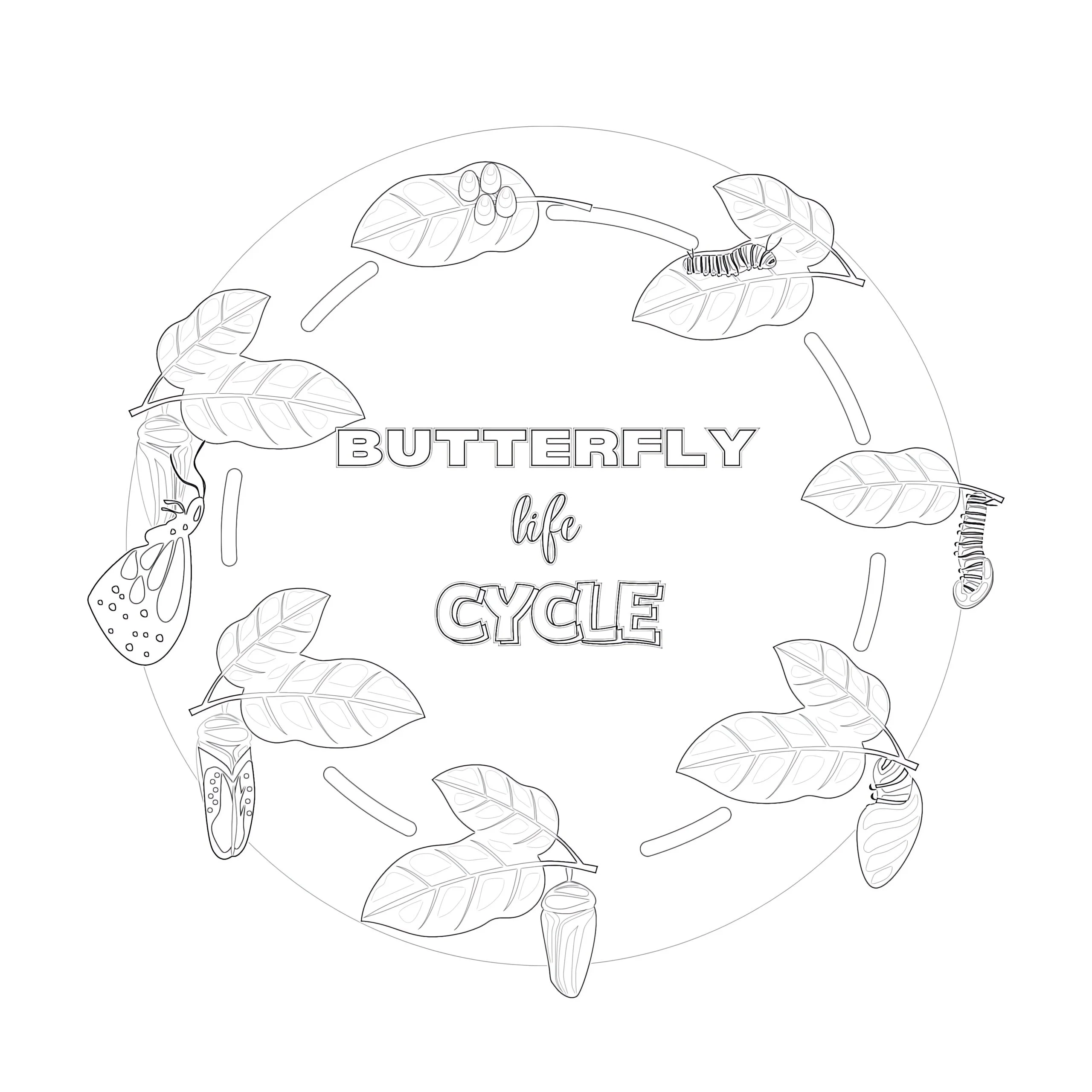 Butterfly Cycle Coloring Page