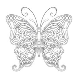 Butterfly Drawing Coloring Pages - Printable Coloring page