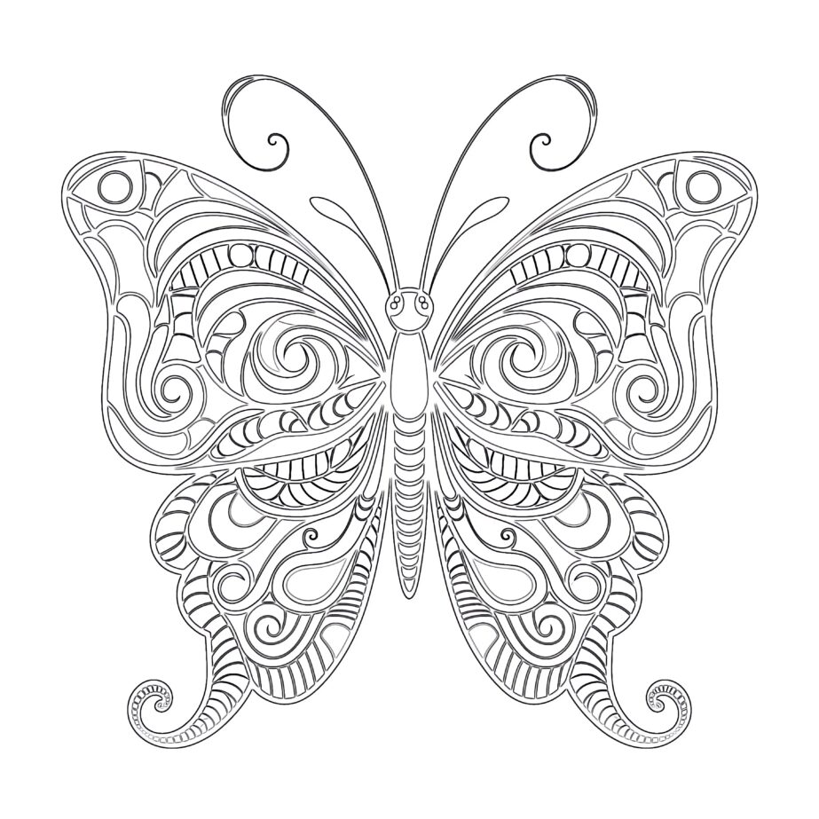 Butterfly Drawing Coloring Pages