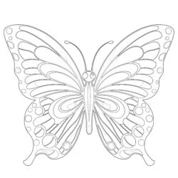 Butterfly Easy Coloring Pages - Printable Coloring page