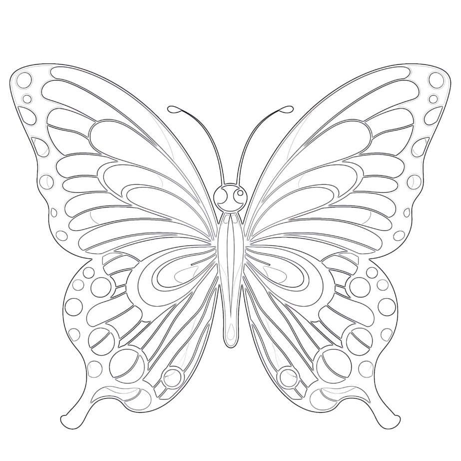 Butterfly Easy Coloring Pages