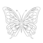 Butterfly For Coloring Pages