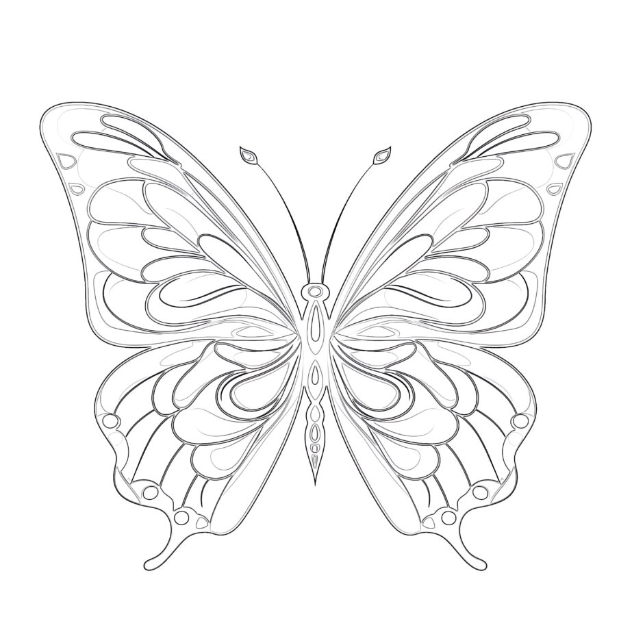 Butterfly For Coloring Pages