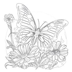 Butterfly On A Flower Coloring Pages - Printable Coloring page