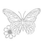 Dibujos de Mariposas Páginas Para Colorear