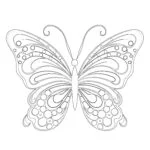 Página para Colorear de Mariposa Arcoíris