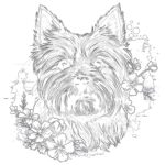 Cairn Terrier Páginas Para Colorear