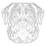 Cane Corso Coloring Page