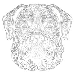 Cane Corso Coloring Page - Printable Coloring page